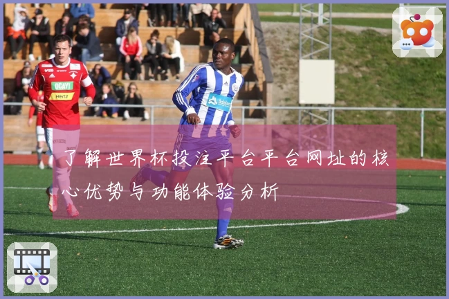 了解世界杯投注平台平台网址的核心优势与功能体验分析