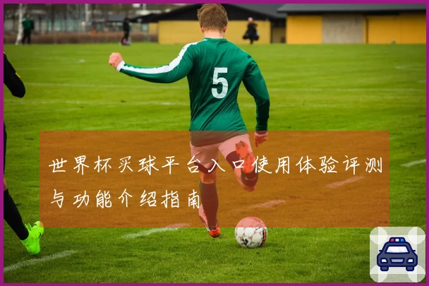 世界杯买球平台入口使用体验评测与功能介绍指南