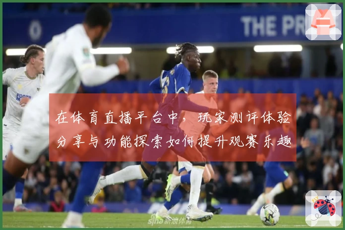 在体育直播平台中，玩家测评体验分享与功能探索如何提升观赛乐趣
