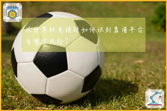 买世界杯竞猜时如何识别靠谱平台与潜在风险？