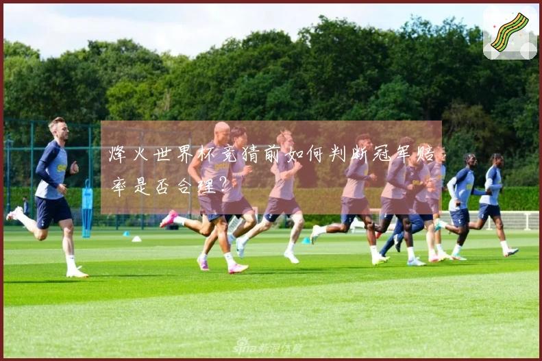 烽火世界杯竞猜前如何判断冠军赔率是否合理？