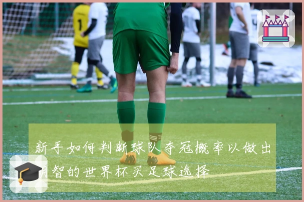 新手如何判断球队夺冠概率以做出明智的世界杯买足球选择
