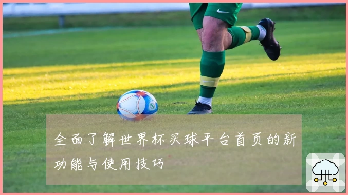 全面了解世界杯买球平台首页的新功能与使用技巧
