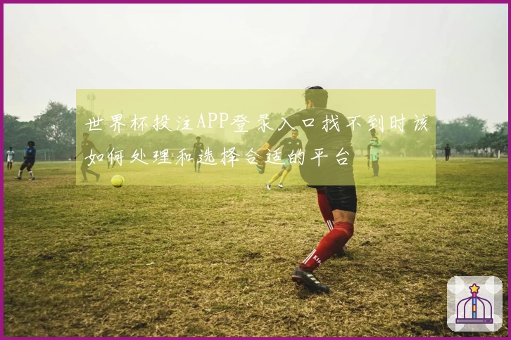 世界杯投注APP登录入口找不到时该如何处理和选择合适的平台