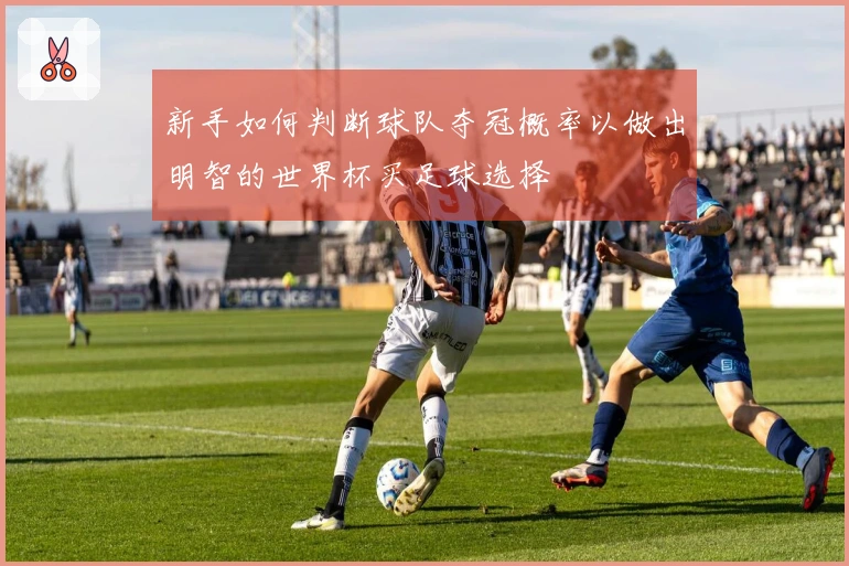 新手如何判断球队夺冠概率以做出明智的世界杯买足球选择