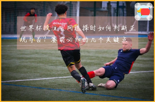 世界杯投注官网选择时如何判断正规与否？赛前必知的几个关键点