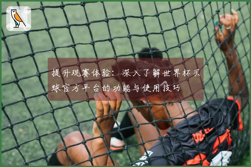 提升观赛体验：深入了解世界杯买球官方平台的功能与使用技巧